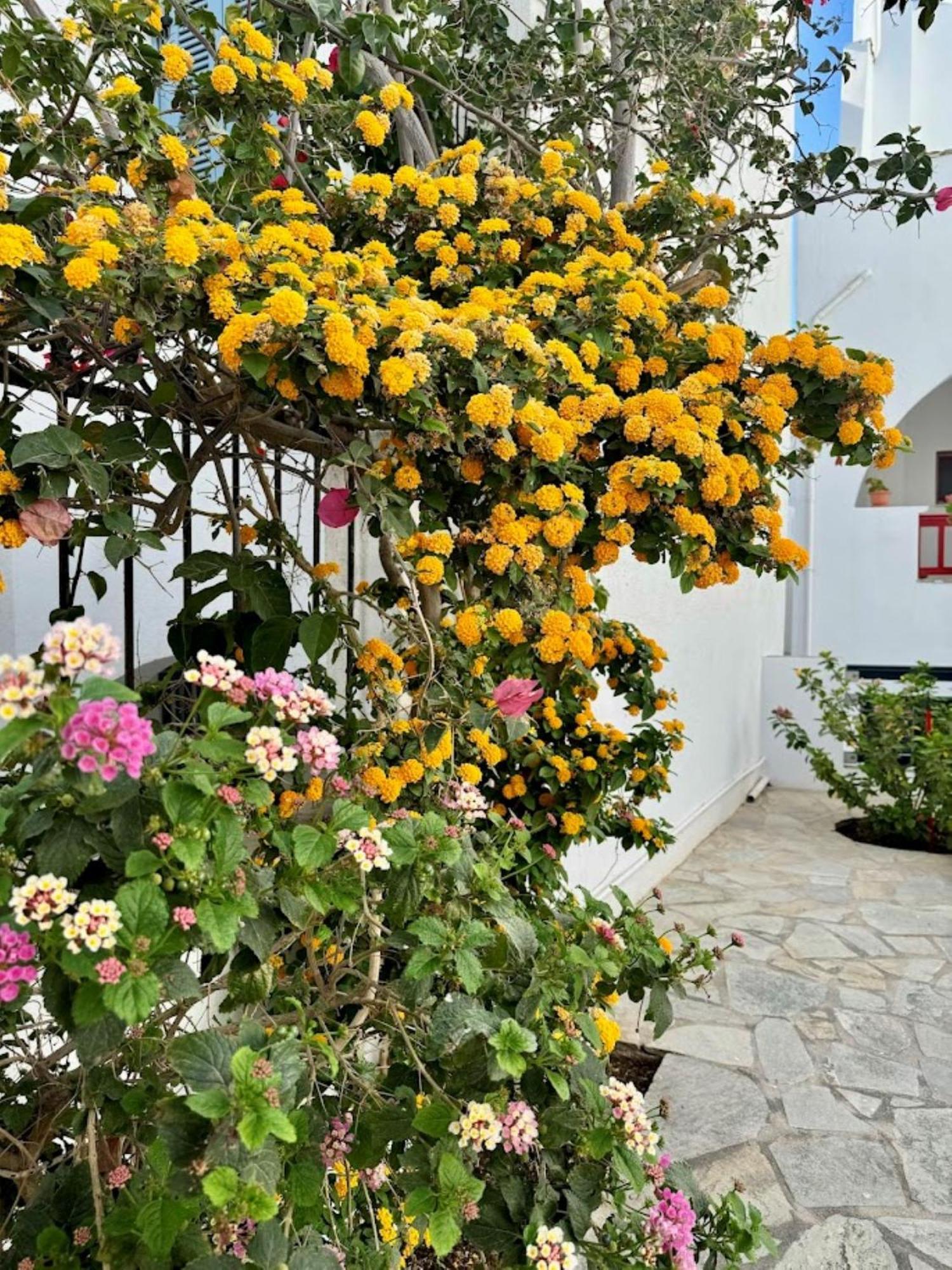 Elisso'S Philoxenia Apart otel Agios Prokopios  Dış mekan fotoğraf