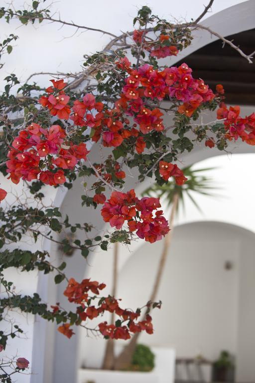 Elisso'S Philoxenia Apart otel Agios Prokopios  Dış mekan fotoğraf